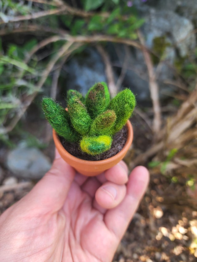 Felted Wool Plants and Flowers | Coastal Felting